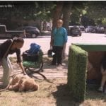 Giant Teddy Bear Prank