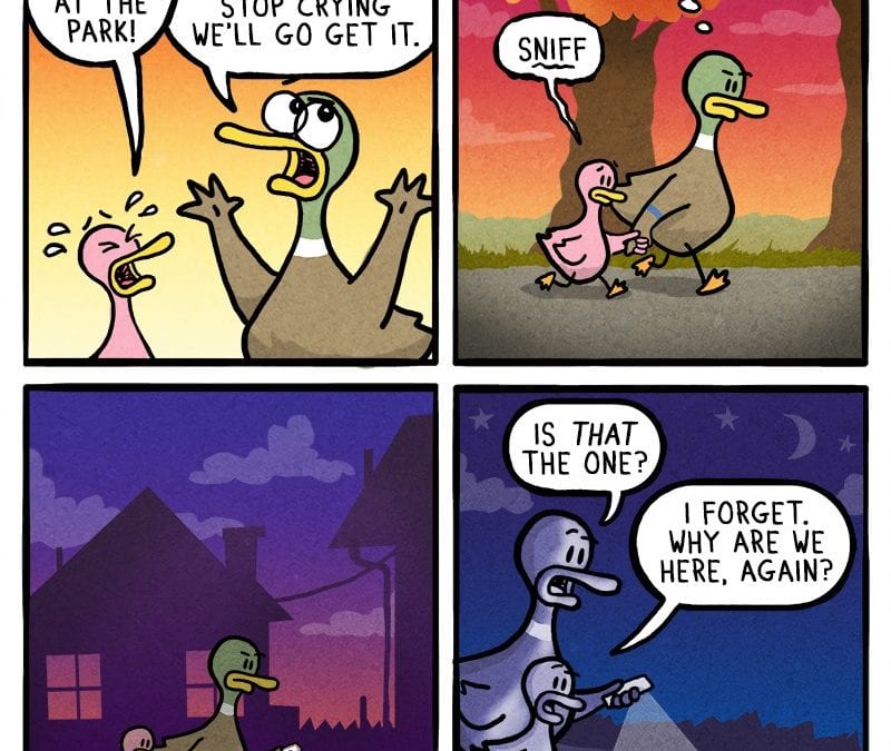 Relatable Duck – Natures Wonders