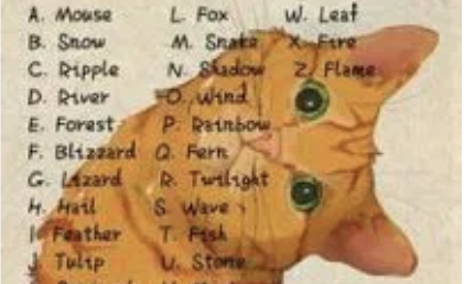 Funny Cat Name Generator ๐ฑ