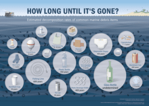 The Power of Recycling Infographic