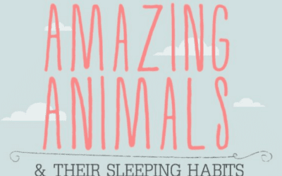 Animals Sleep Habits