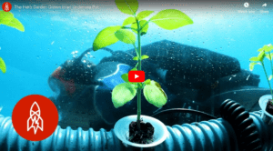 The Future: Underwater Farms