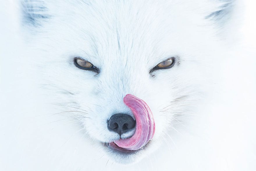   PHOTO CREDIT: Peter Mather LOCATION: Alaska