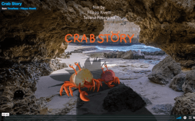 Animation Meets Time Lapse Photography