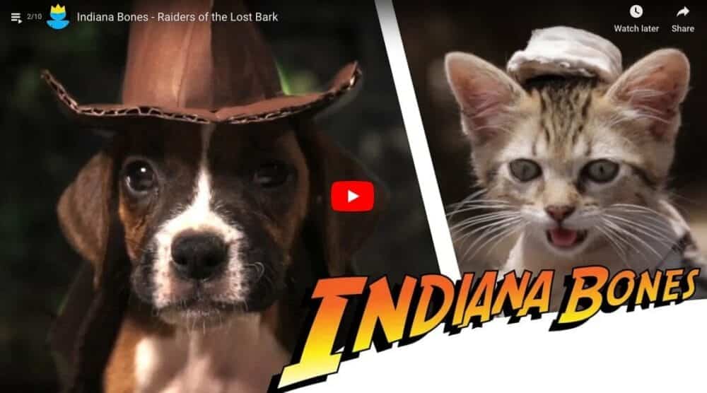 Zach King Indiana Bones