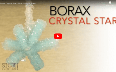 Create A Borax Crystal Snowflake