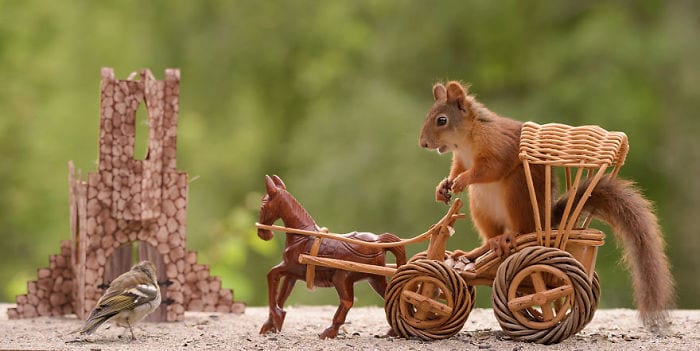 Magical Squirrel Moments Caught On Camera