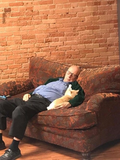 The Cat Nap Volunteer