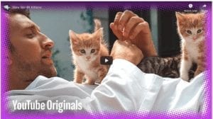 Adorable Kittens in Slow Motion