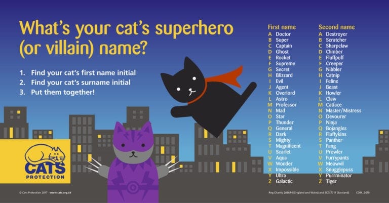 Cat Superhero Name Generator 🐱