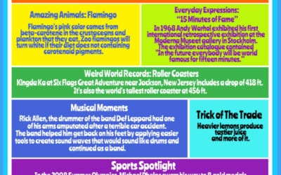 Rainbow of Knowledge #8