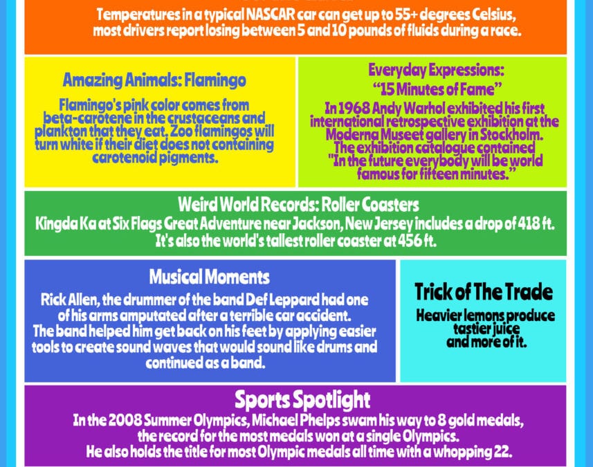 Rainbow of Knowledge #8