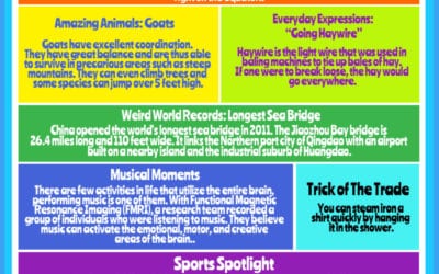 Rainbow of Knowledge #9