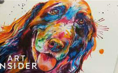 Rainbow Pet Portraits