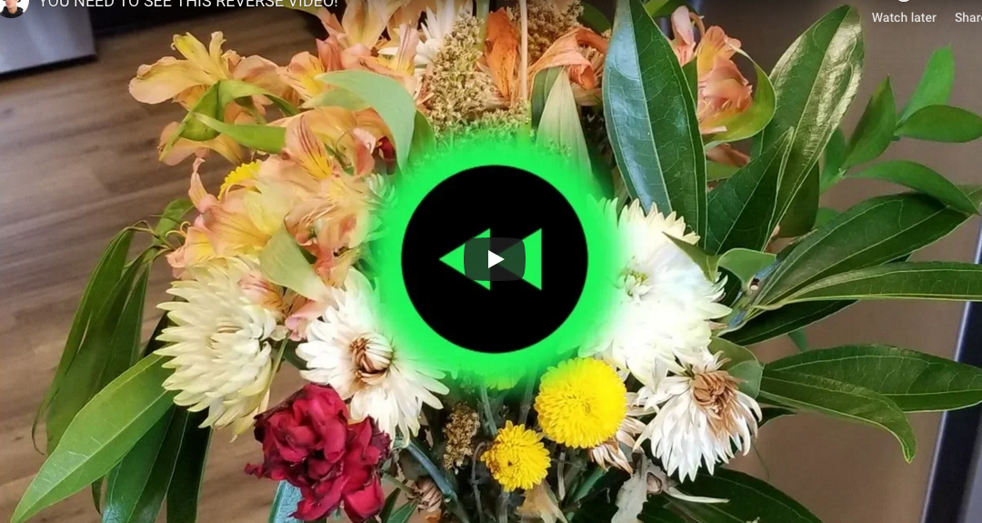Flowers In Reverse
