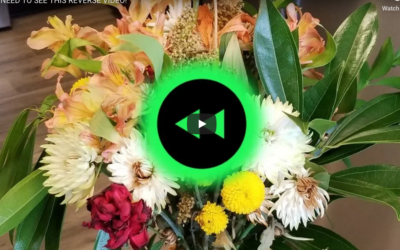 Flowers In Reverse