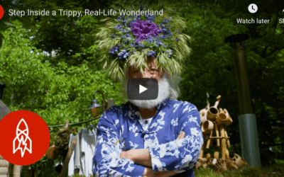 Real Life Wonderland