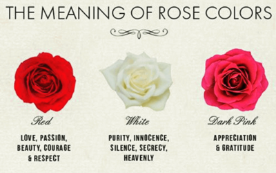 The Meaning of Rose Colors