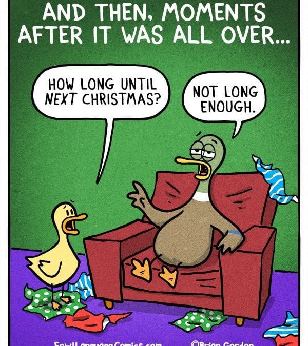 Relatable Duck Parenting After Christmas