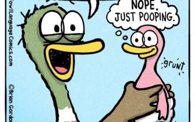 Relatable Duck Comics About Babies