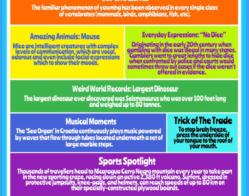 Rainbow of Knowledge #11