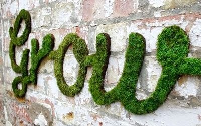 How To Make Moss Graffiti