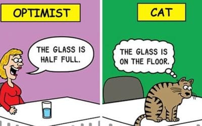 Funny Cat Comics
