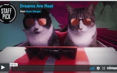 Dreams Are Real