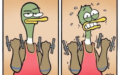 Relatable Duck Exercise Comics