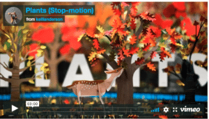 Enchanting Woodland Stop-Motion