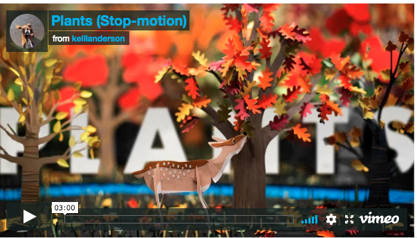Enchanting Woodland Stop-Motion