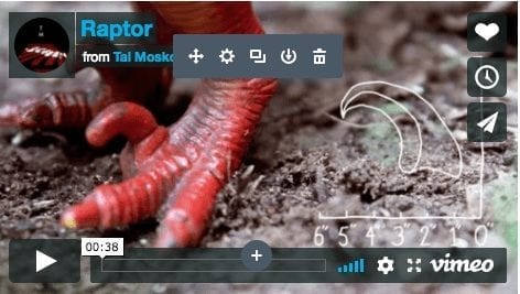 Fast Facts About Raptors