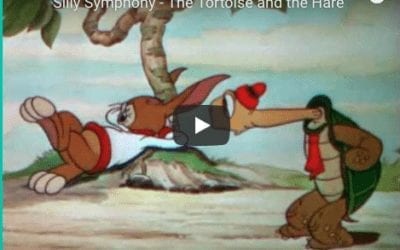 The Tortoise & The Hare