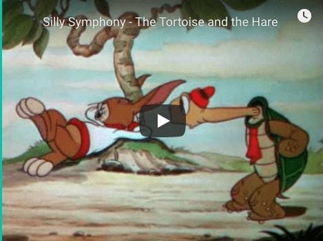 The Tortoise & The Hare