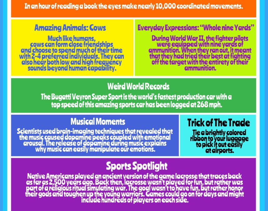 Rainbow of Knowledge #14