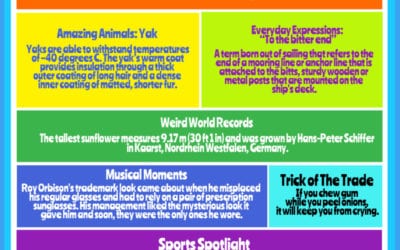 Rainbow of Knowledge #17
