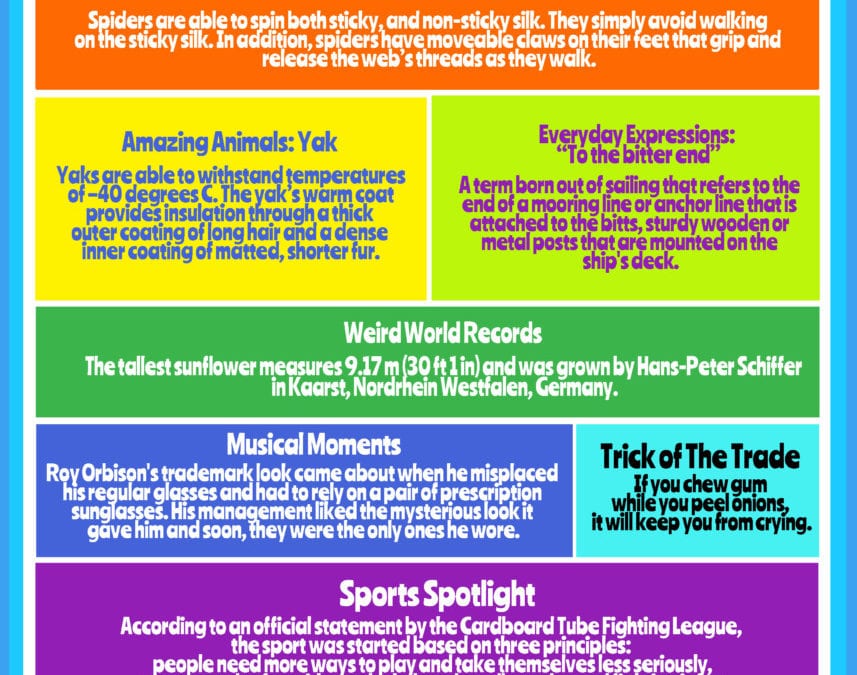 Rainbow of Knowledge #17