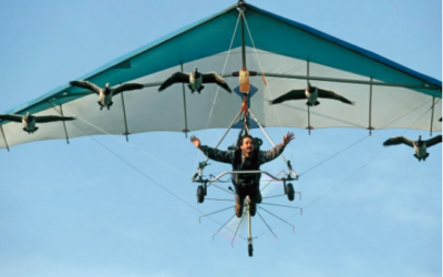 The Man Who Soars With The Birds