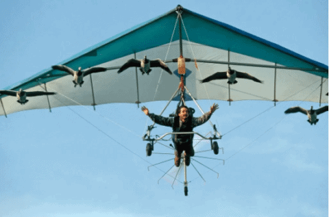 The Man Who Soars With The Birds