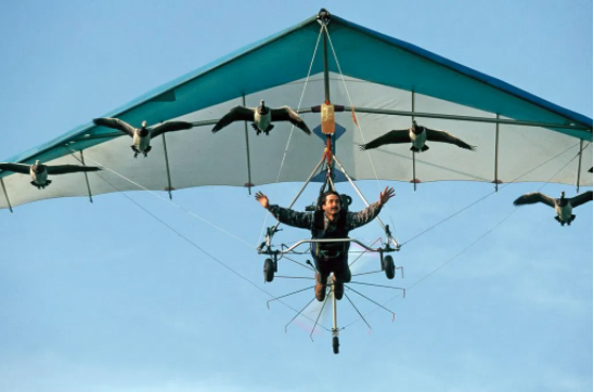 The Man Who Soars With The Birds