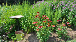 Gardeners Protect Bees & Butterflies