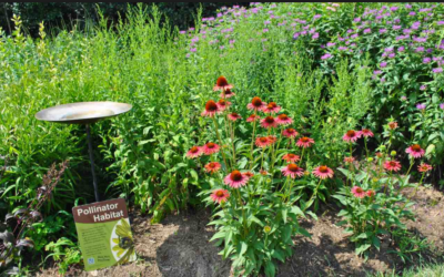 Gardeners Protect Bees & Butterflies