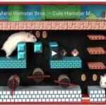 Super Mario Hamster
