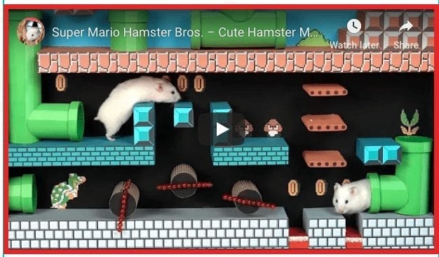 Super Mario Hamster