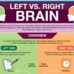 Left Vs Right Brain