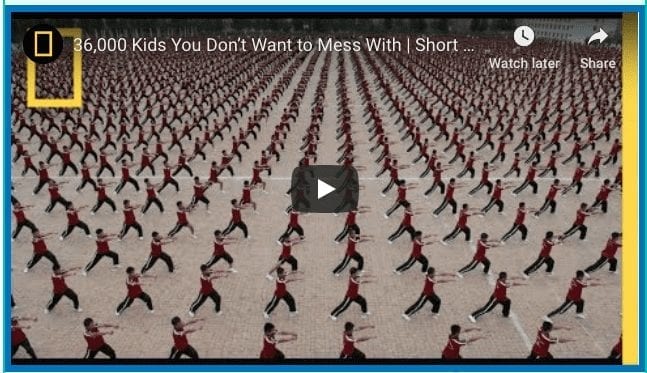 Synchronized Karate Kids