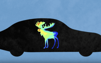 How Self Driving Cars See