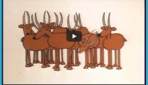 Schoolhouse Rock:  Four-Legged Zoo
