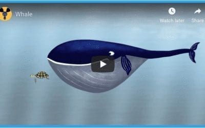 A Whale Of A Tale