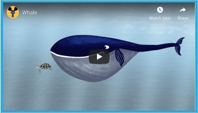 A Whale Of A Tale